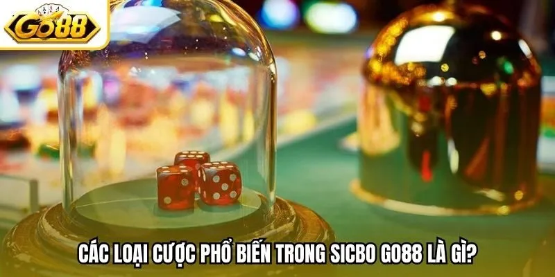 Các loại cược phổ biến trong Sicbo Go88 là gì?