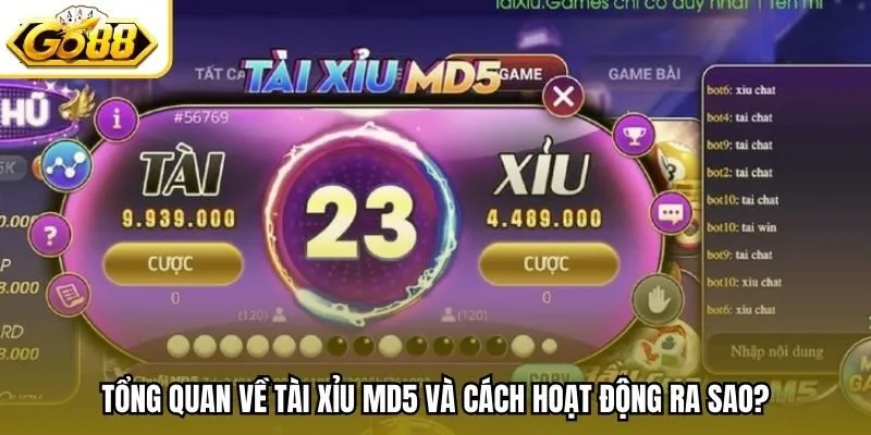 Tổng quan về tài xỉu MD5 và cách hoạt động ra sao?